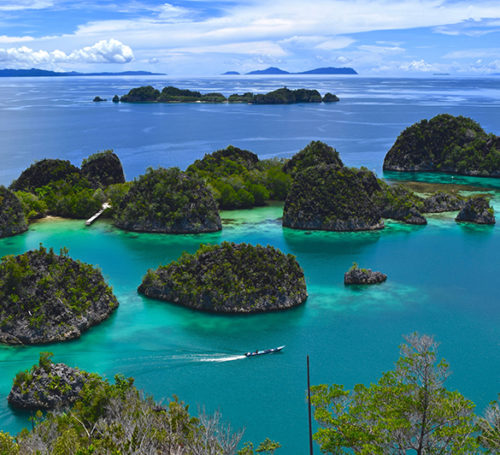 Williams World Tour – Raja Ampat Islands, Indonesia.